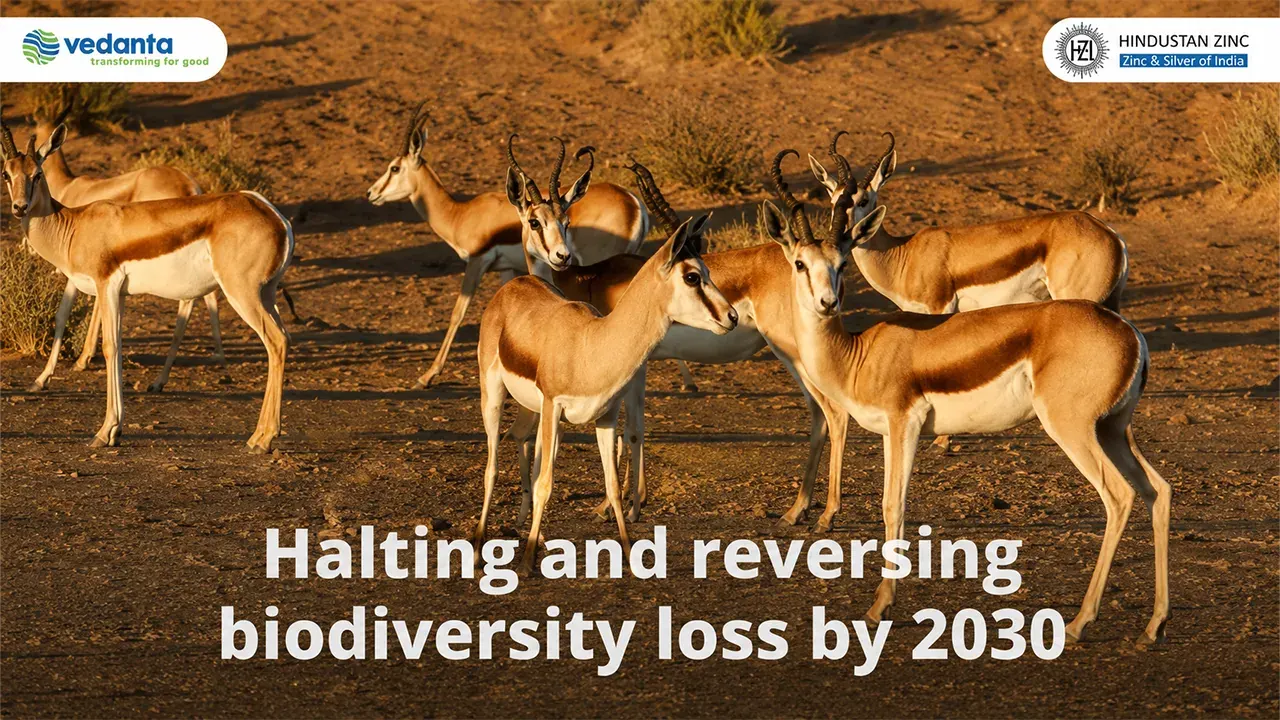 Hindustan Zinc's Sustainability Goals 2030
