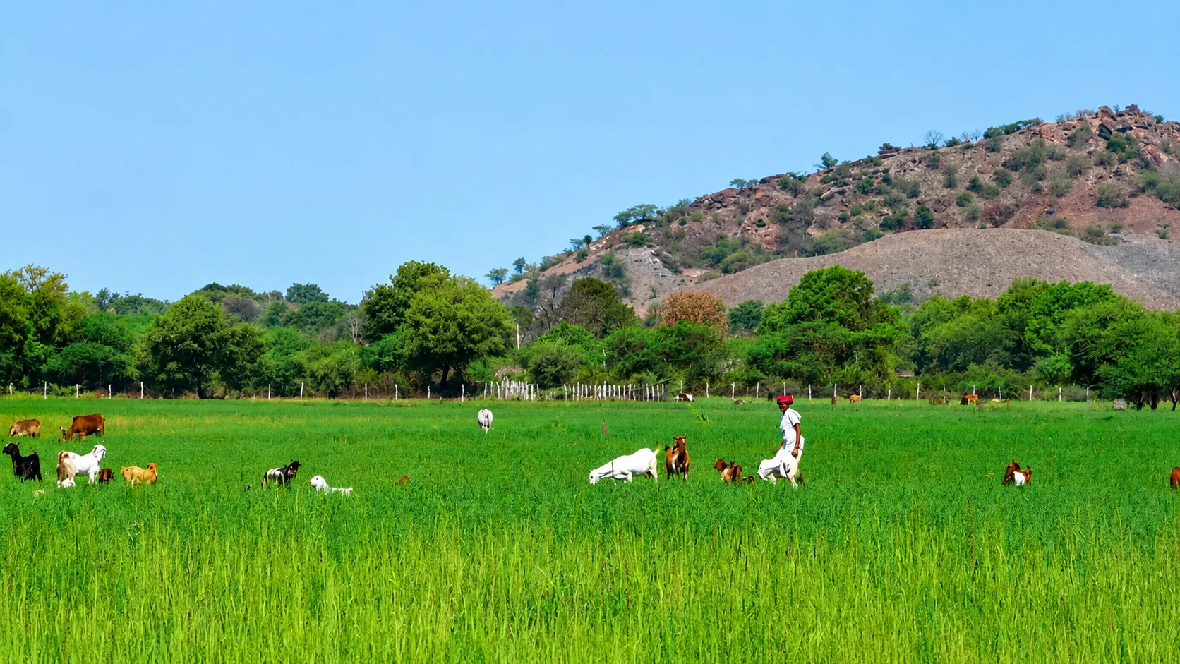 Hindustan Zinc sustainability initiatives